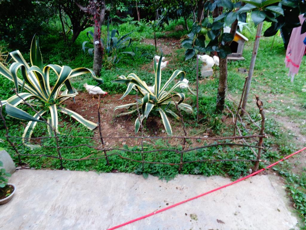 فندق Private House In باتومي المظهر الخارجي الصورة