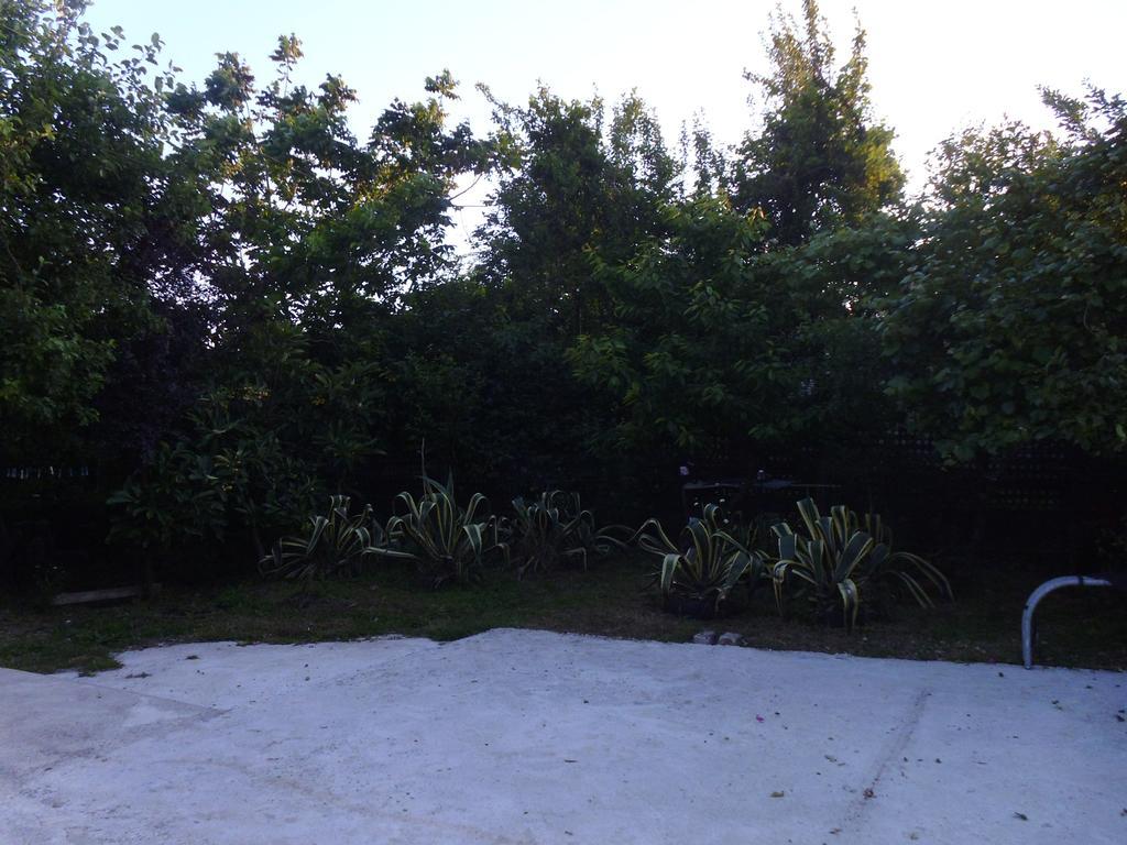 فندق Private House In باتومي المظهر الخارجي الصورة